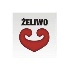 żeliwo